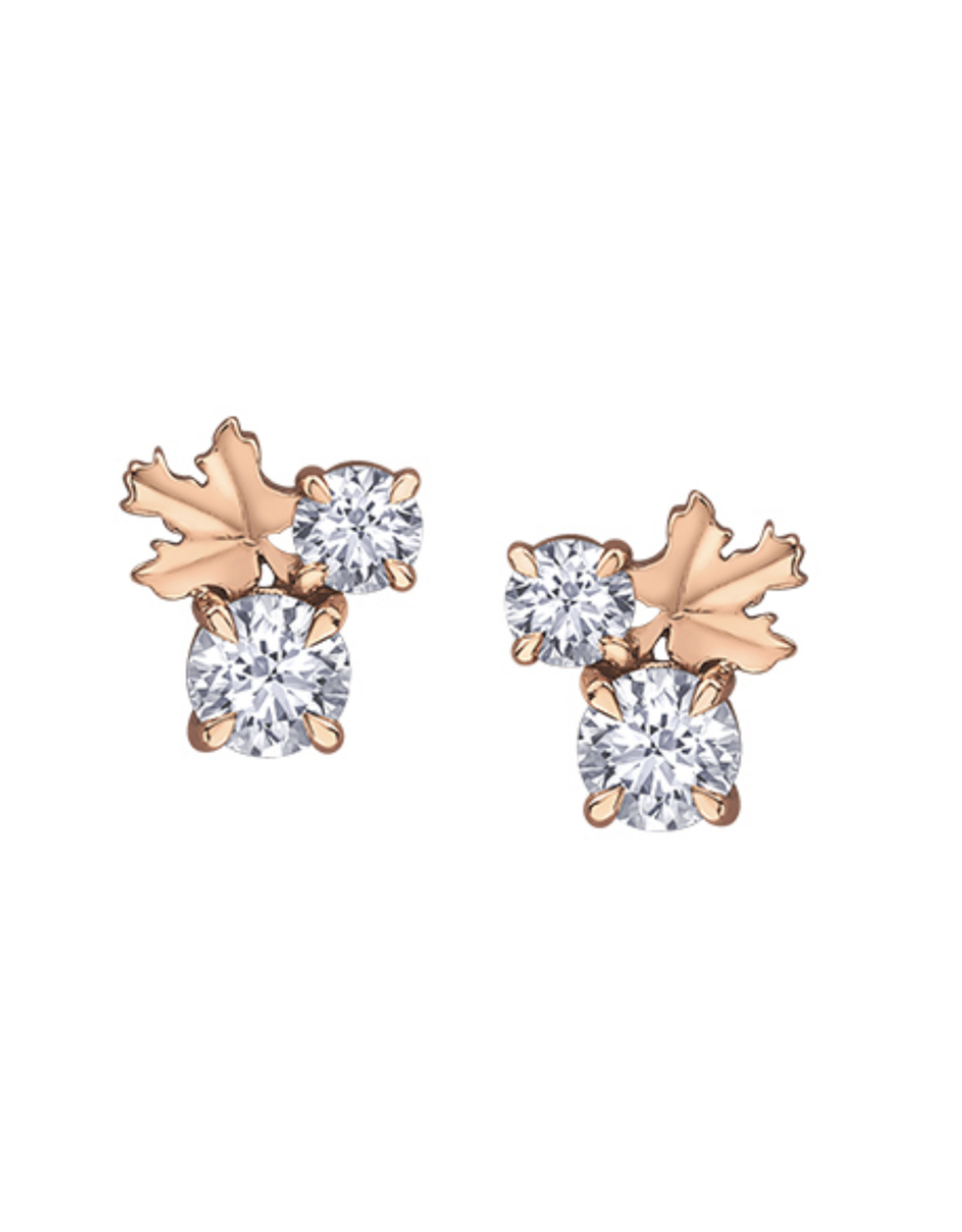 Rose Gold Maple Leaf Earrings - E4265RW