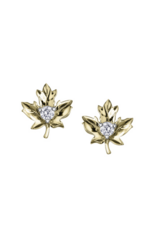 Boucles d'Oreilles Feuilles d'Érable Or Jaune - E3491YW