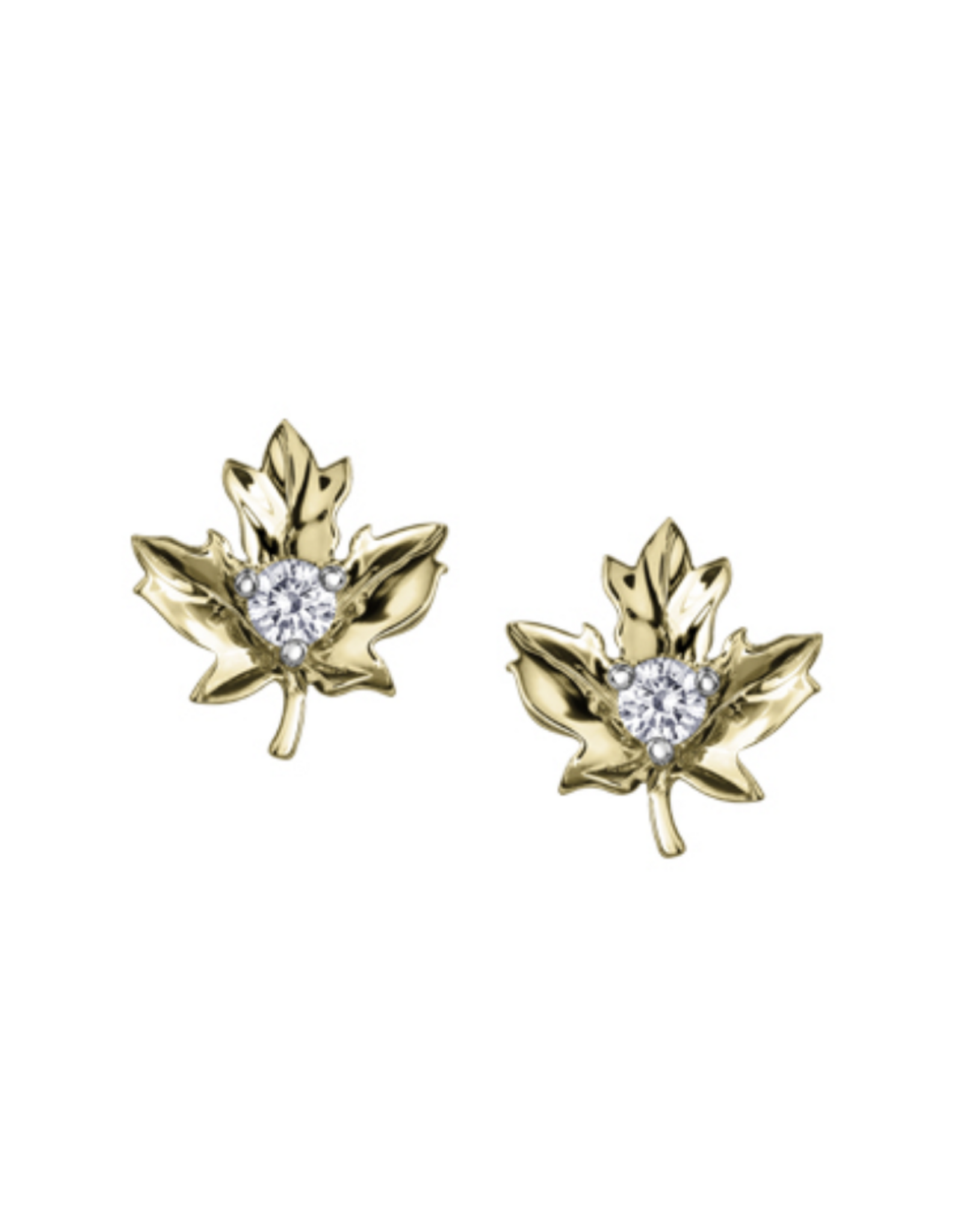 Yellow Gold Maple Leaf Earrings - E3491YW