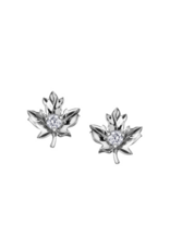 White Gold Maple Leaf Earrings - E3491W