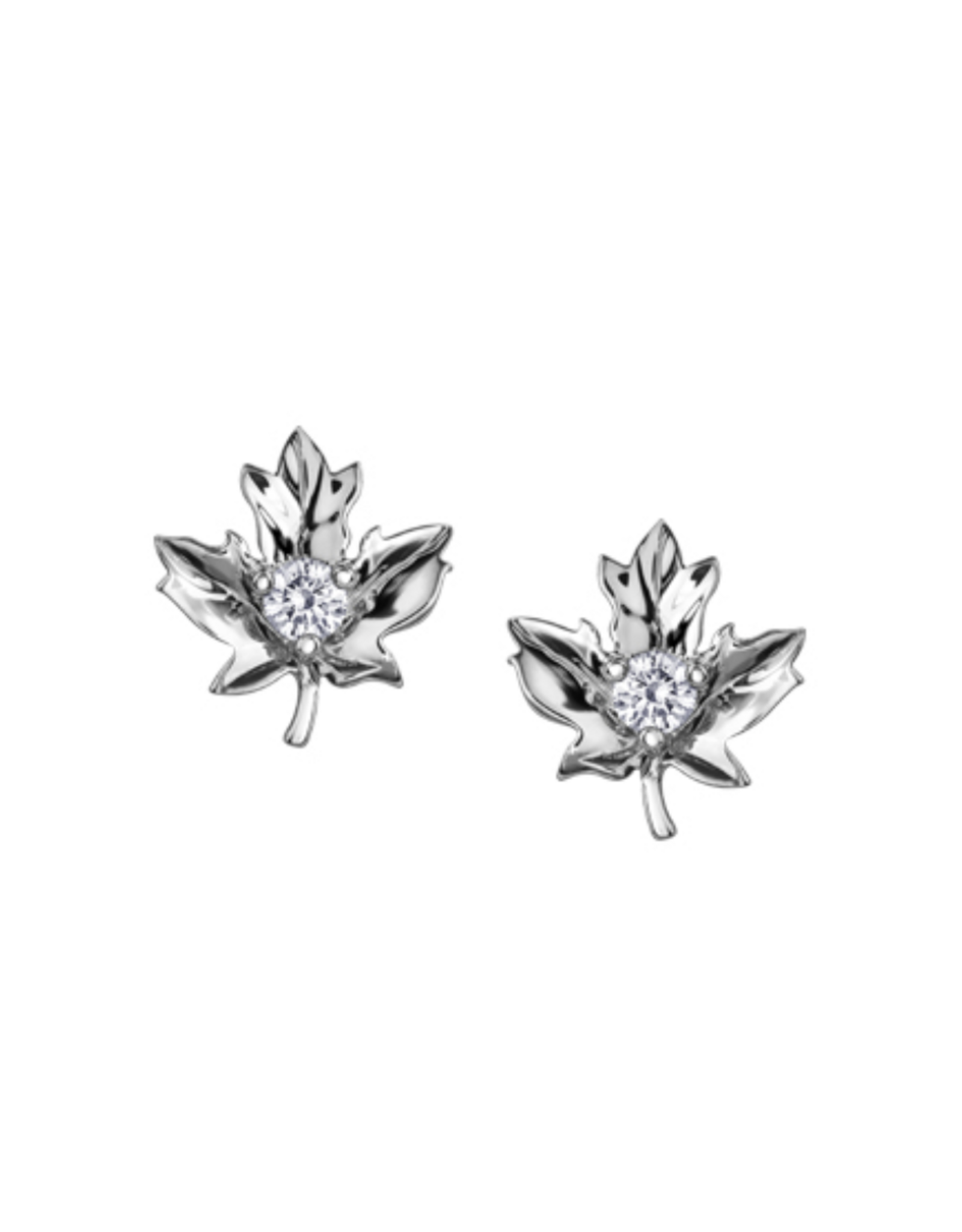 White Gold Maple Leaf Earrings - E3491W