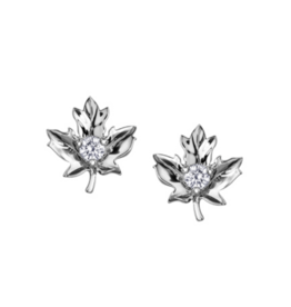 White Gold Maple Leaf Earrings