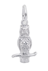 Charms - Owl (0360)