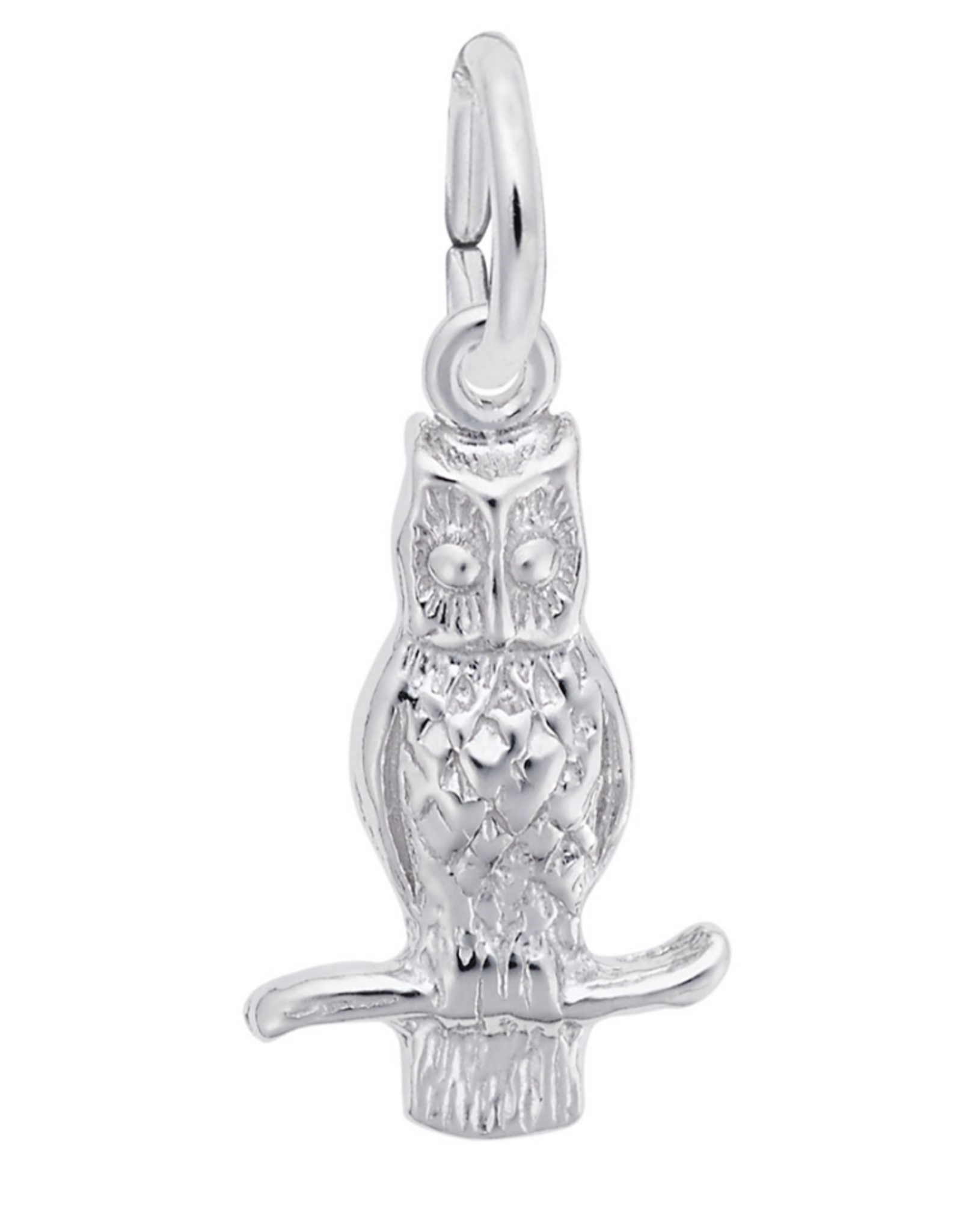 Charms - Owl (0360)