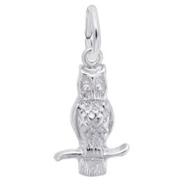 Charms - Owl