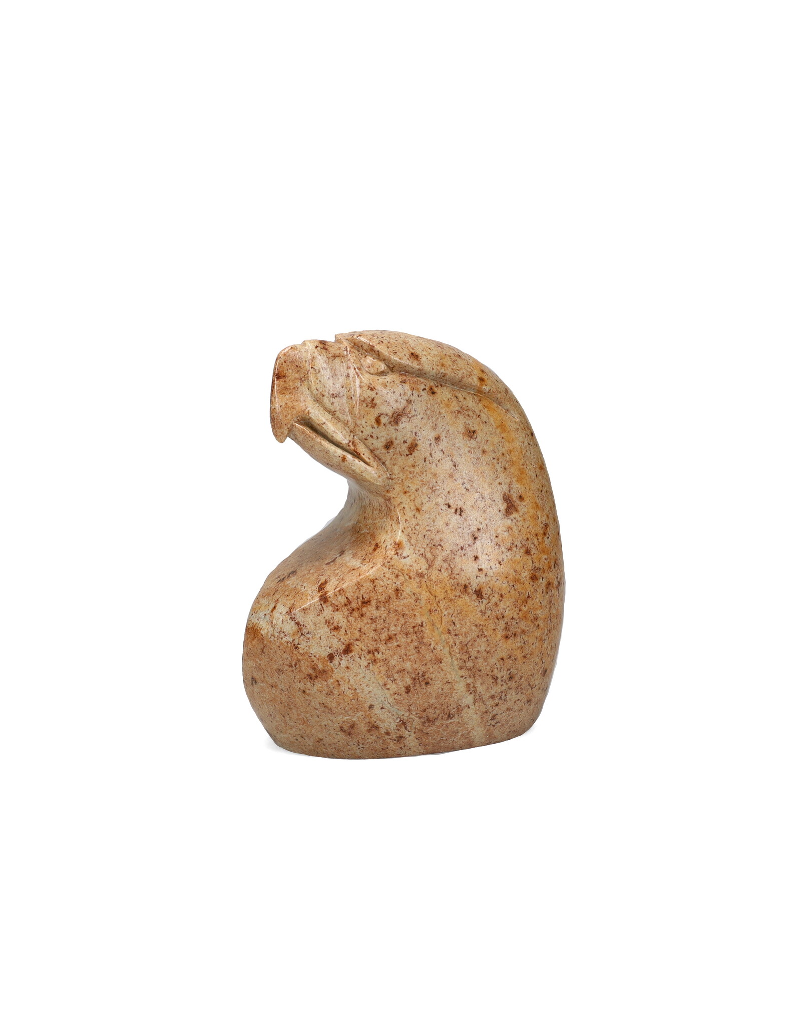 44-5985 Aigle par Bud Henry