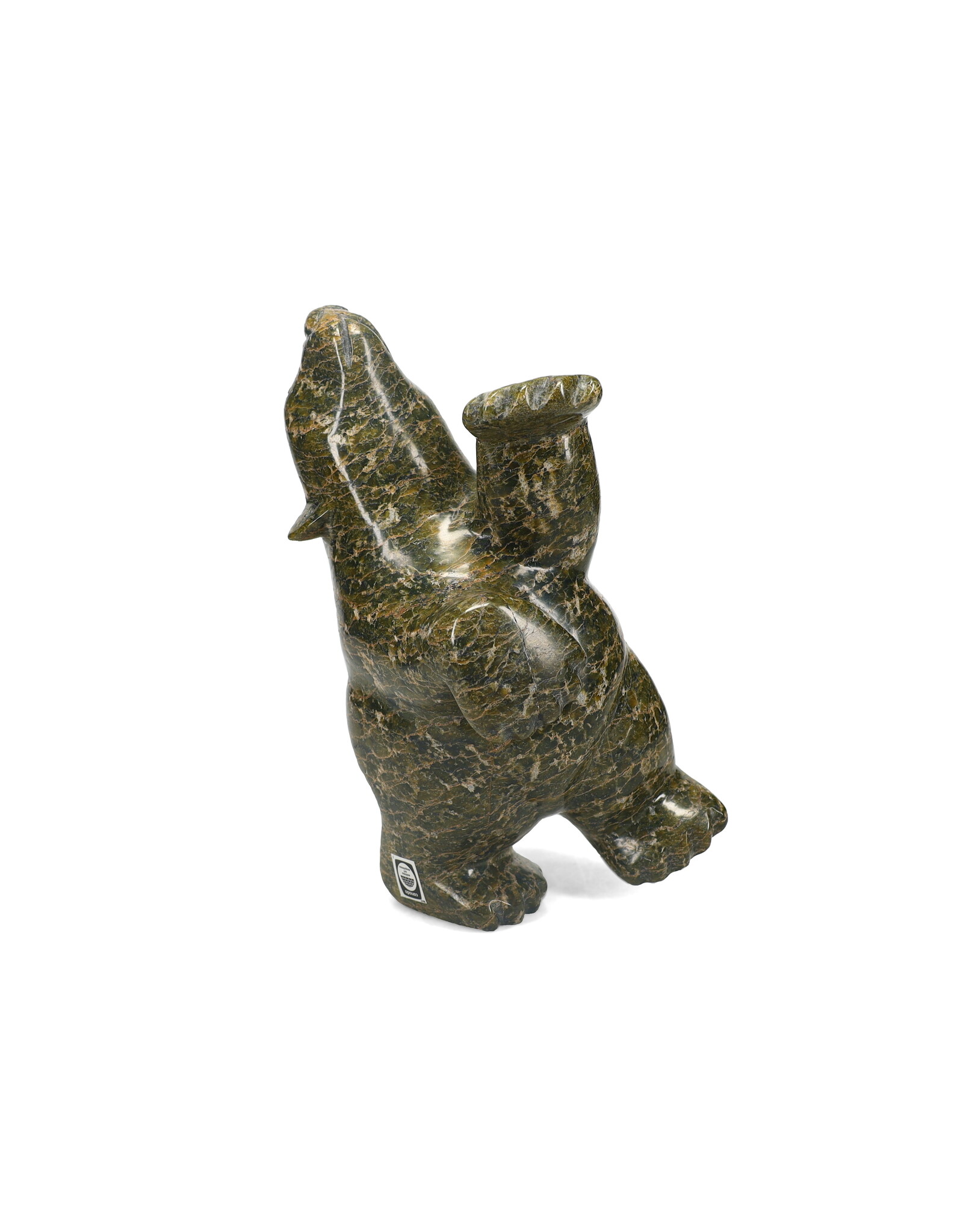 10091796 Ours qui Danse par Jimmy Tunnillie