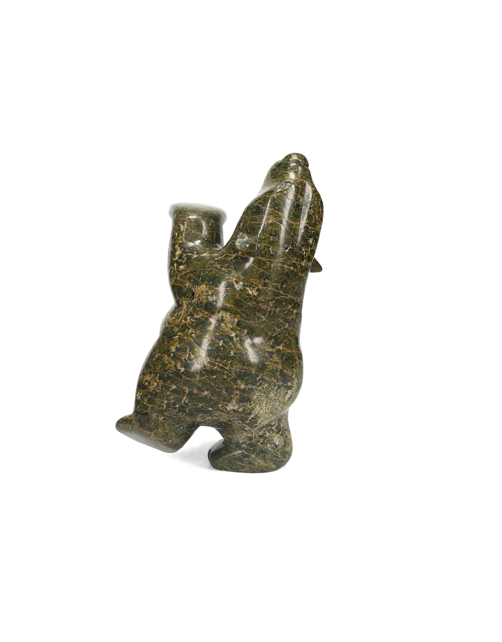 10091796 Ours qui Danse par Jimmy Tunnillie