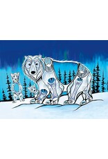 Polar Lights par Jessica Somers Passe-Partout