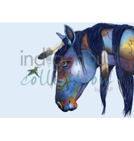 Sumpanáihki par Micqaela Jones Passe-Partout