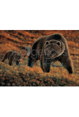 Guidance par Ronnie Simon Encadré