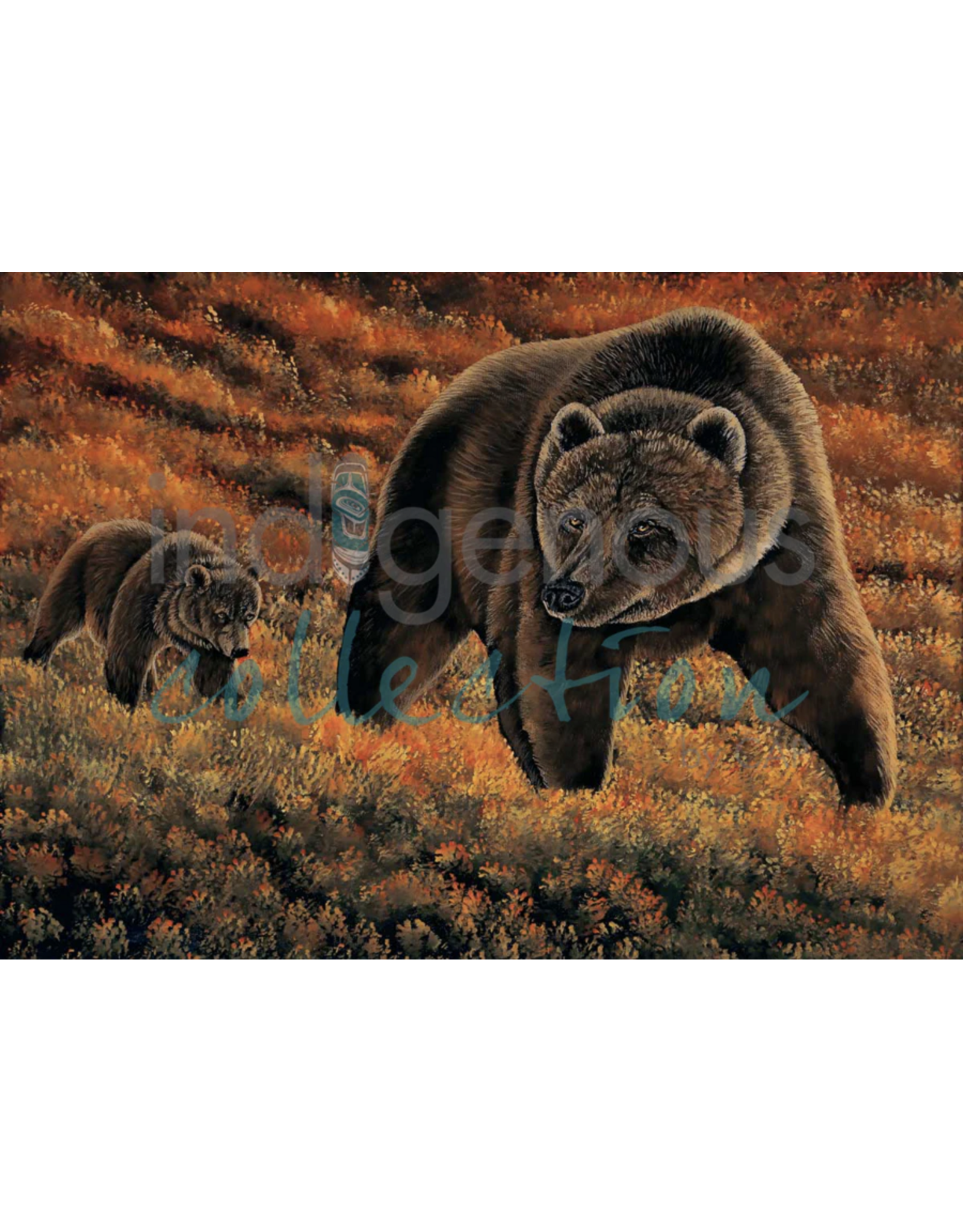 Guidance par Ronnie Simon Encadré