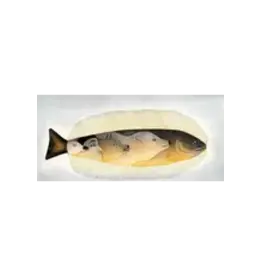 Ancient Vision par Mialia Jaw Carte