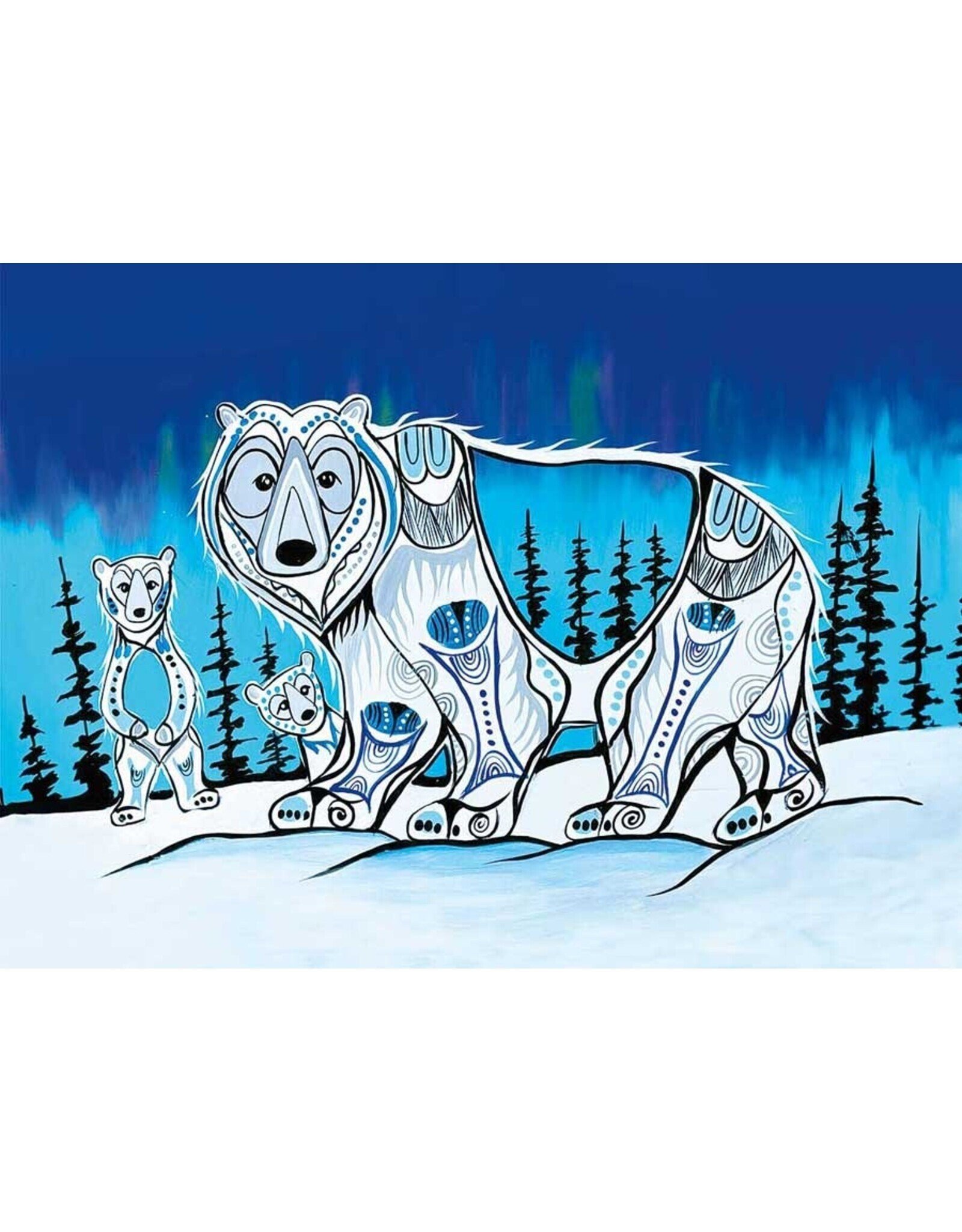 Polar Lights par Jessica Somers Encadré