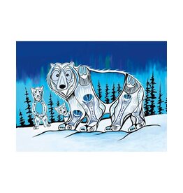 Polar Lights by Jessica Somers Framed