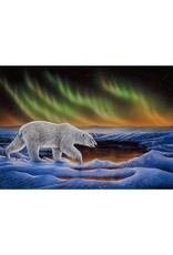 Polar Night by Ronnie Simon Framed