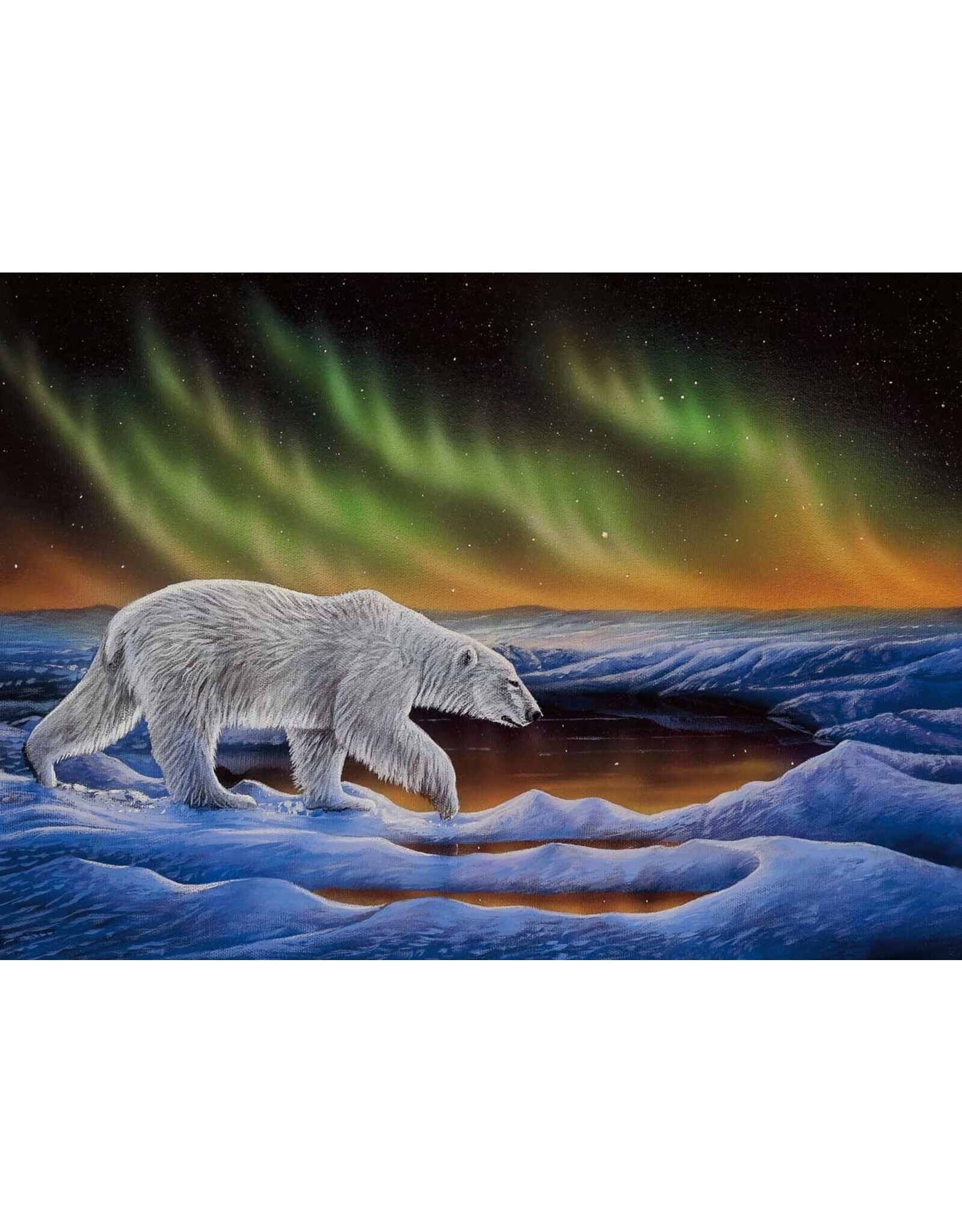 Polar Night by Ronnie Simon Framed