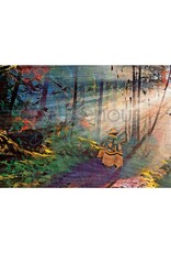 Kwagu' Into the Mist par Heidi Henderson Encadré