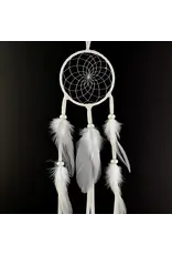 Dreamcatcher Pastel White - DC893