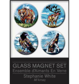 Ensemble d'Aimants Stephanie White