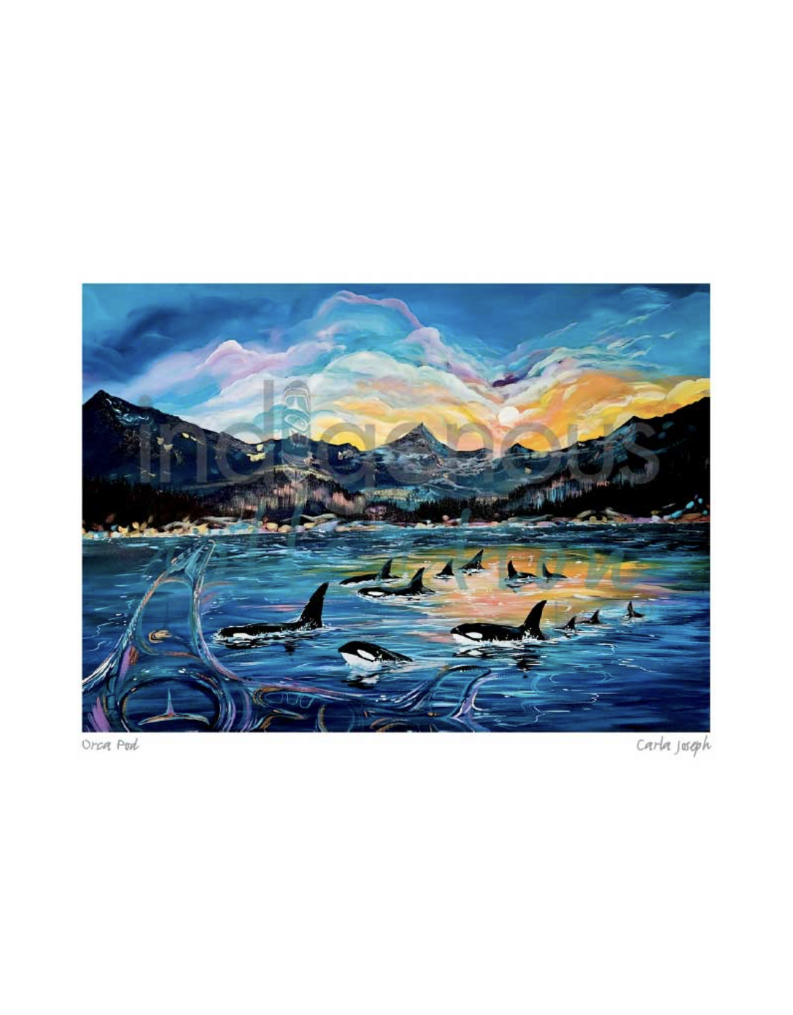 Orca Pod par Carla Joseph Passe-Partout