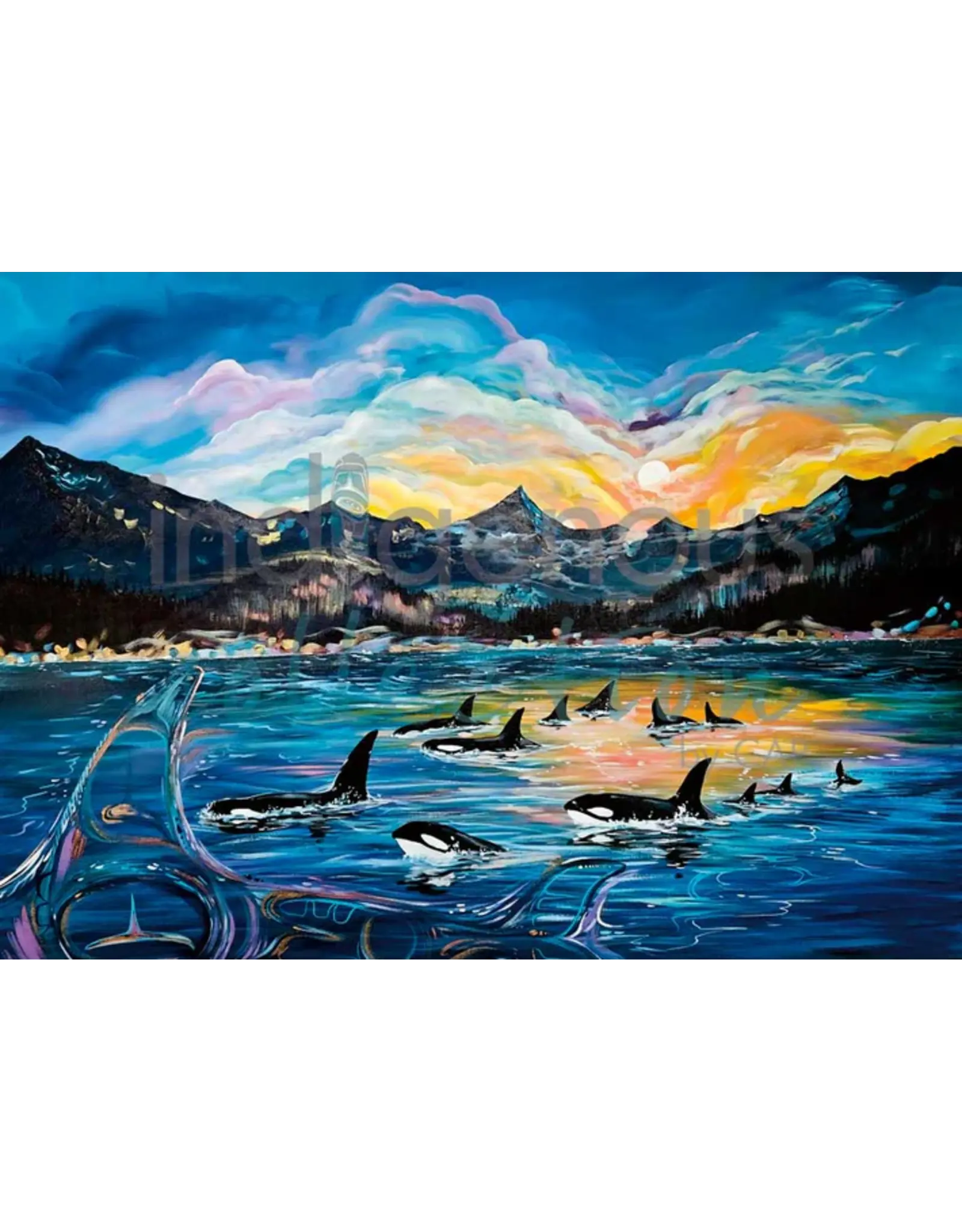 Orca Pod by Carla Joseph Framed