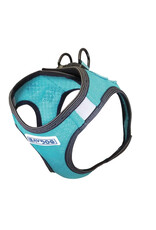 BAY DOG BAY DOG LIBERTY HARNESS TEAL L