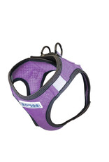 BAY DOG BAY DOG LIBERTY HARNESS PURPLE X L