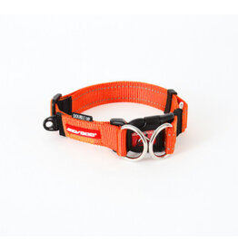 EZY DOG EZY DOG DOUBLE UP COLLAR ORANG S