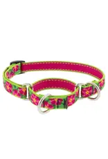 LUPINE LUPINE 3/4 IN  PETUNIA 10- 14 MARTINGLE COLLAR