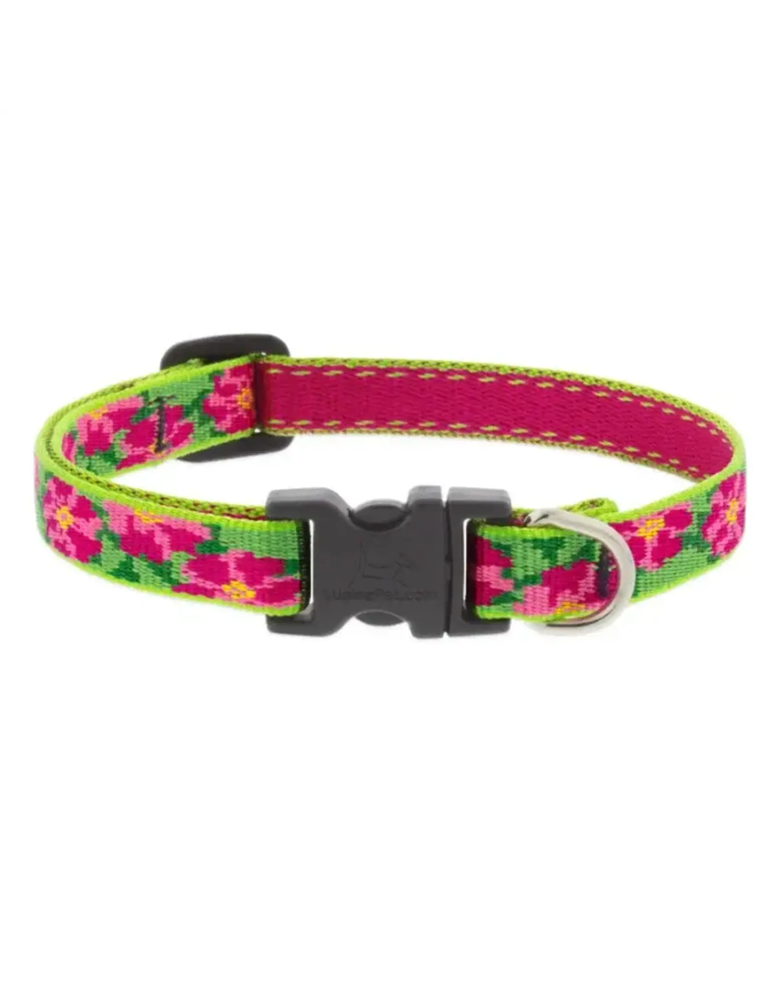 LUPINE LUPINE 1/2 IN PETUNIA ADJ COLLAR 6-9