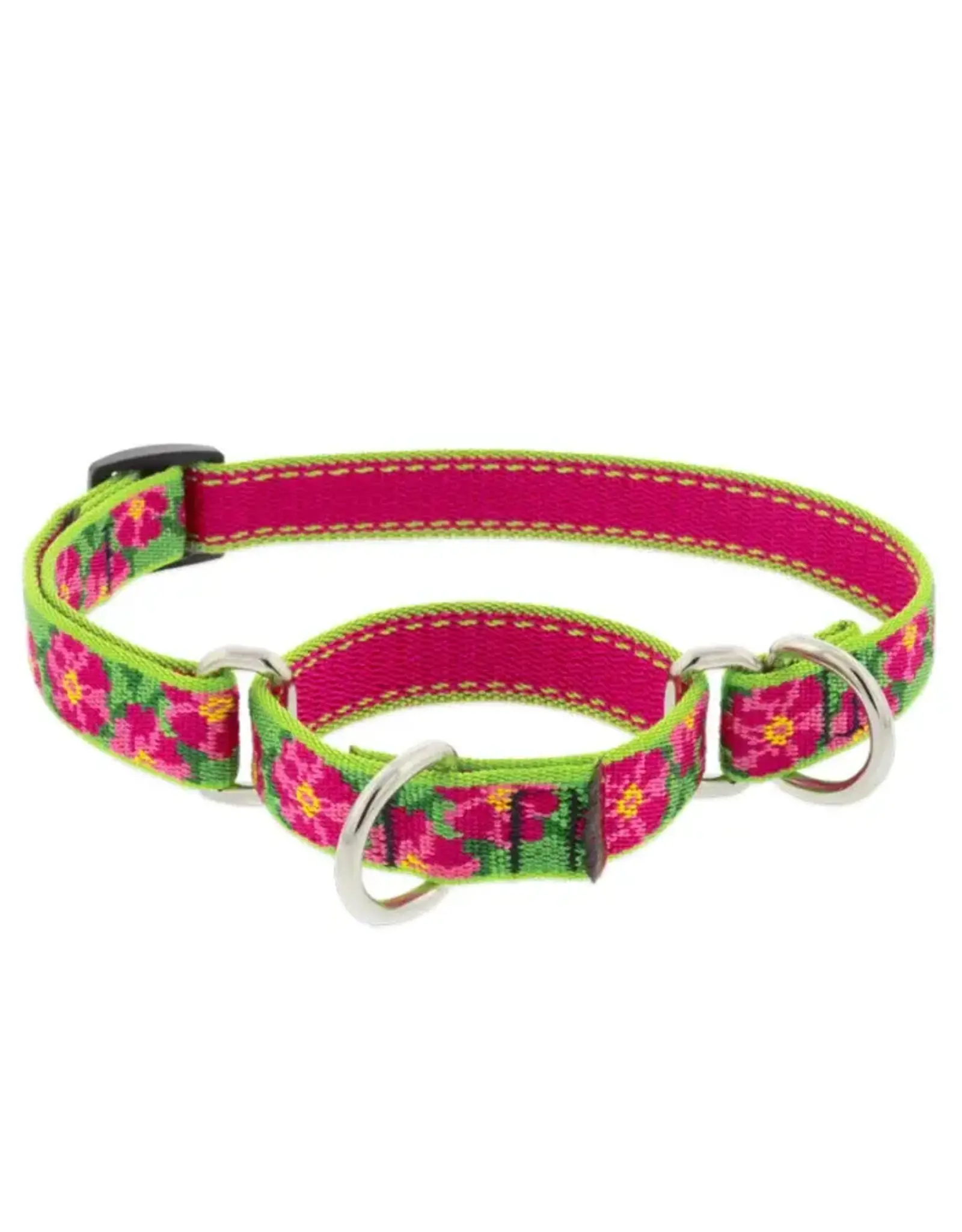 LUPINE LUPINE 3/4 IN  PETUNIA 14-20 MARTINGLE COLLAR