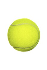 PETCREST PETCREST TENNIS BALLS SQK 2.5"