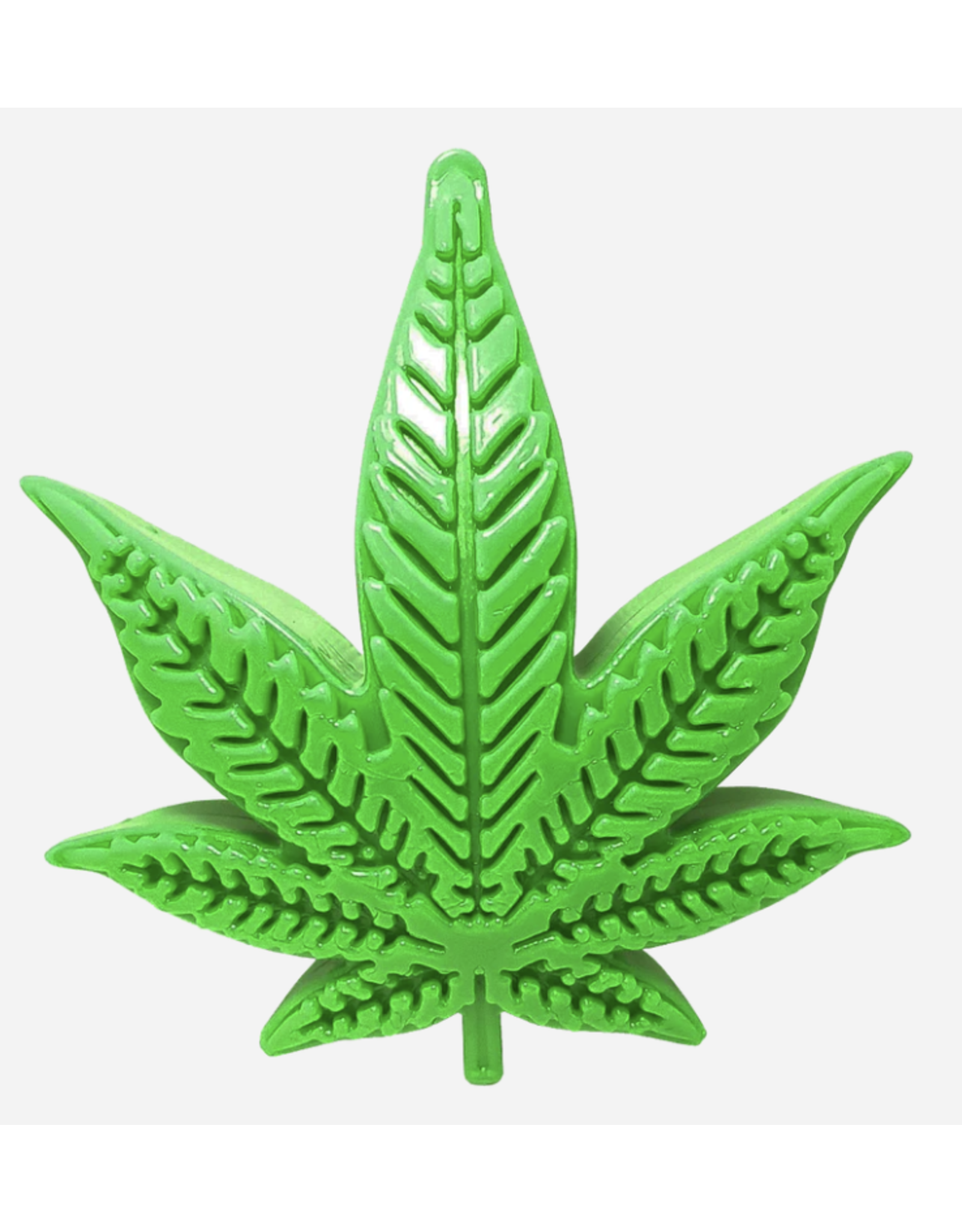 SODA PUP SODA PUP COLORADO MAPLE LEAF