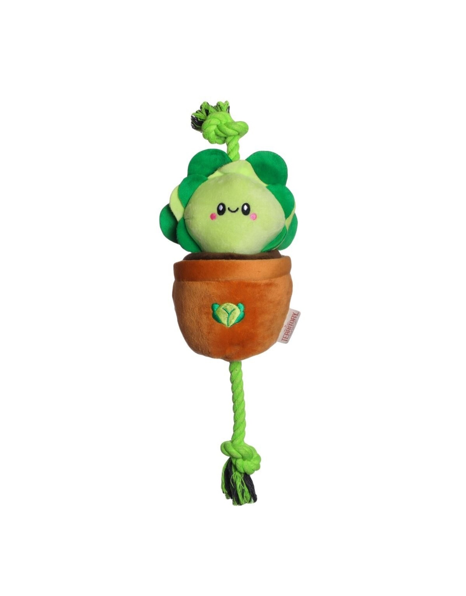 TERRITORY TERRITORY TREAT TUG LETTUCE 15"