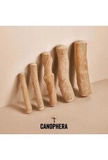 CANOPHERA CANOPHERA COFFEE WOOD DOG CHEW XL