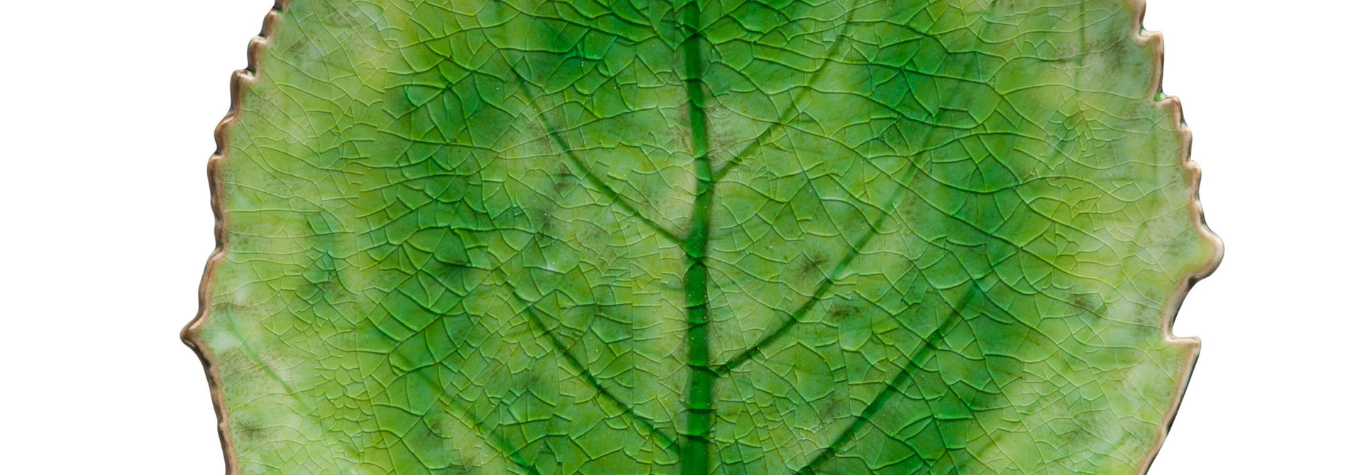 Riviera | The Tomate Dinnerware & Serveware Collection