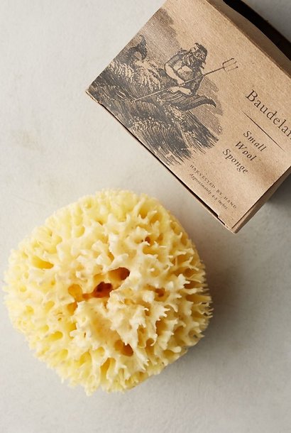 Bath Sponge | The Natural Accessory Collection