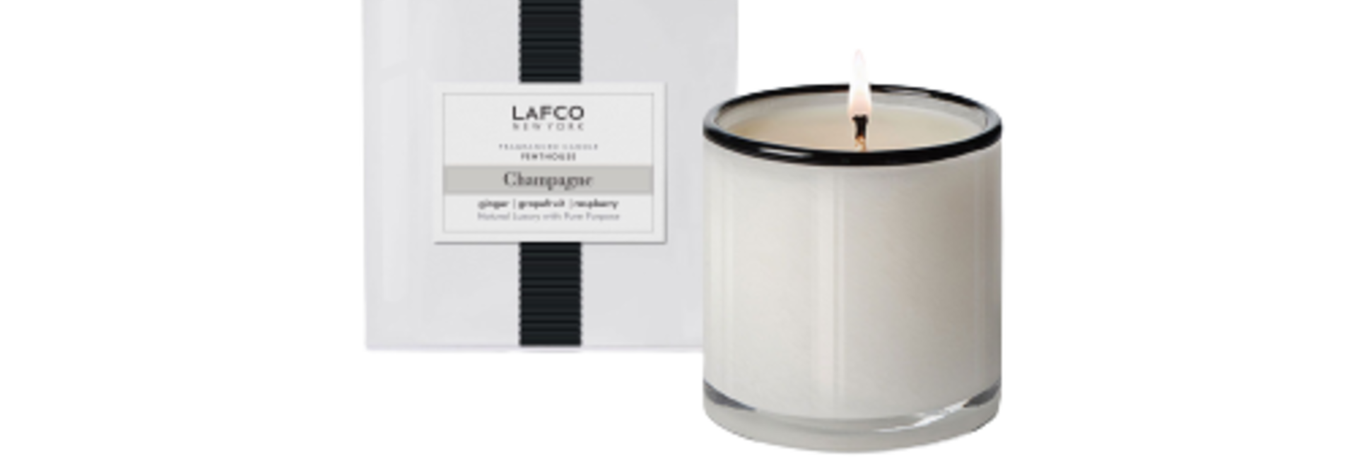 Champagne l The Signature Candle Collection - 15.5 Oz