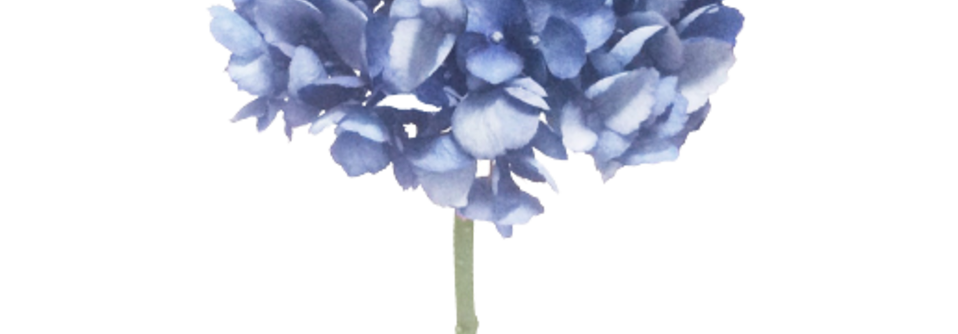 Hydrangea | The Floral Collection, Baby Blue - 9 Inch x 9 Inch x 19 Inch