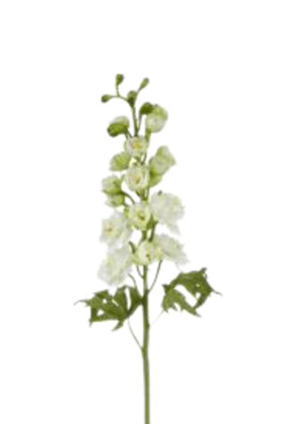 Delphinium | The Floral Collection, White - 6.5 Inch x 4 Inch x 23 Inch