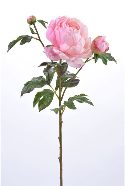Peony | The Floral Collection, Pink - 26.5 Inch