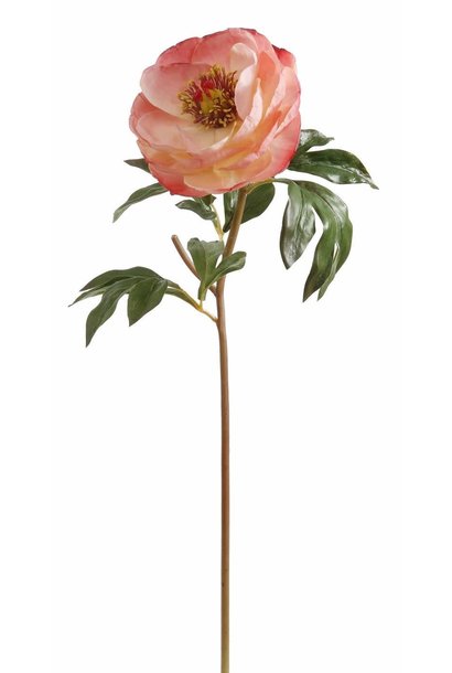 Peony | The Floral Collection, Salmon - 21 Inch