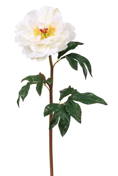 Peony | The Floral Collection, White - 20.5 Inch
