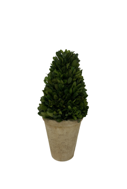 Cone | The Boxwood Topiary Collection, Green - 6 Inch x 6 Inch x 13 Inch