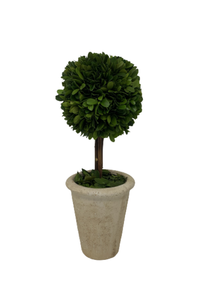 Sphere | The Boxwood Topiary Collection, Green -6 Inch x 6 Inch x 16 Inch