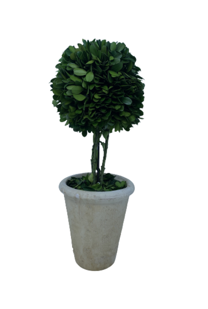 Sphere | The Boxwood Topiary Collection, Green - 6.5 Inch x 6.5 Inch x 16 Inch