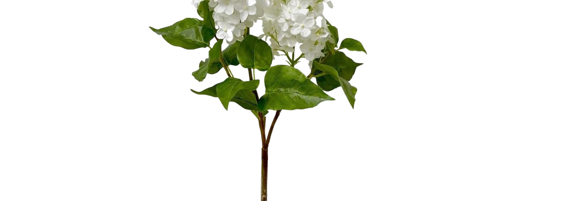 Lilac | The Floral Collection, White - 8 Inch x 10 Inch x 35 Inch