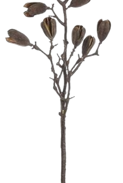 Split Pod Spray | The Floral Collection, Brown -36 Inch
