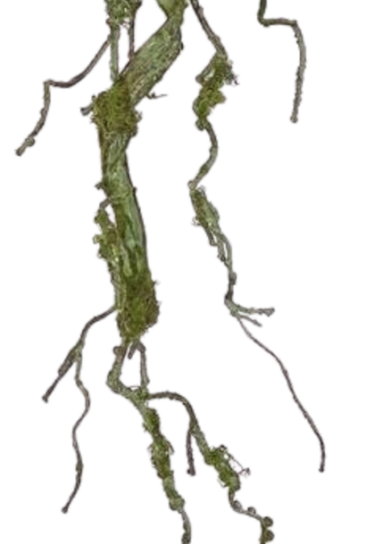 Twig Vine | The Floral Collection, Moss Green - 36 Inch